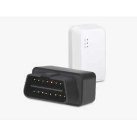 Localizzatore GPS OBD senza installazione 【2025】Espiamos.com