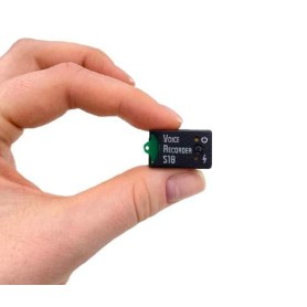 Grabadora de voz oculta memoria USB con tarjeta MicroSD Tarjeta de memoria  Sin tarjeta