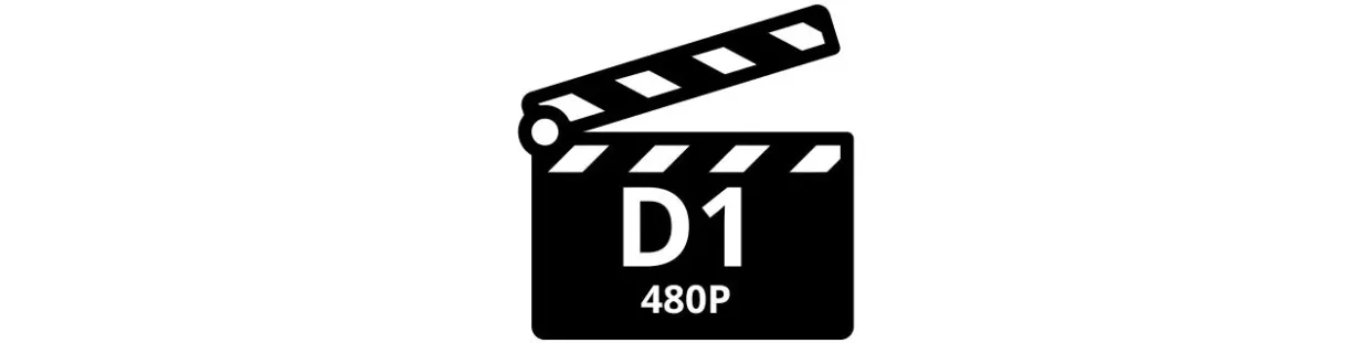 Telecamere spia nascoste e discrete D1 480p | 2025