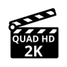 Telecamere spia 2K 1296p